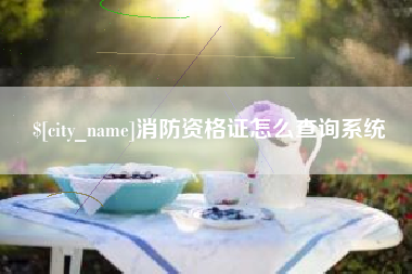 湛江消防资格证怎么查询系统