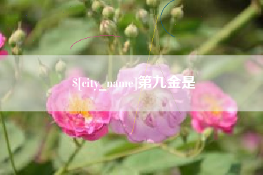 湛江第九金是