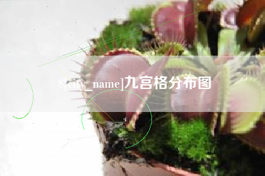 湛江九宫格分布图