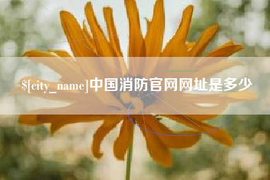 湛江中国消防官网网址是多少