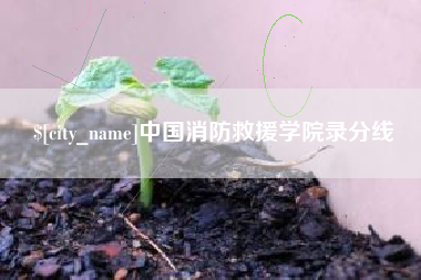 湛江中国消防救援学院录分线