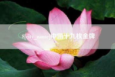 湛江中国十九枚金牌