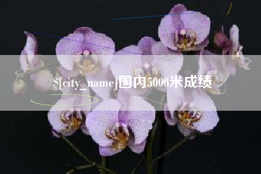 湛江国内5000米成绩