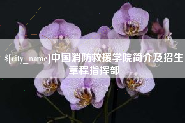 湛江中国消防救援学院简介及招生章程指挥部