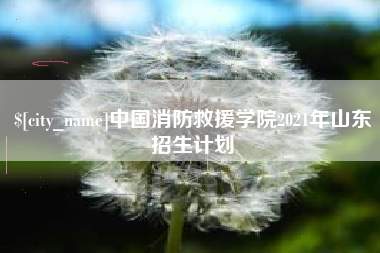 湛江中国消防救援学院2021年山东招生计划