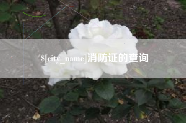 湛江消防证的查询