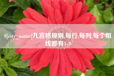 湛江九宫格规则,每行,每列,每个粗线都有1-9