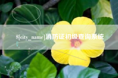 湛江消防证初级查询系统