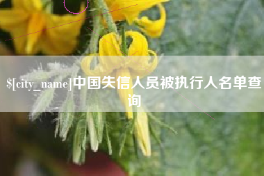 湛江中国失信人员被执行人名单查询