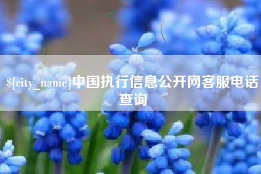湛江中国执行信息公开网客服电话查询