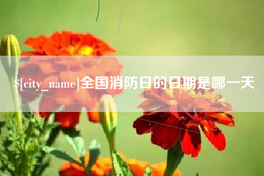 湛江全国消防日的日期是哪一天