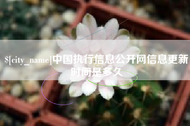 湛江中国执行信息公开网信息更新时间是多久