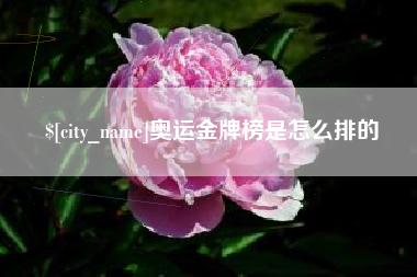 湛江奥运金牌榜是怎么排的