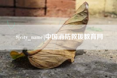 湛江中国消防救援教育网