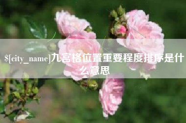 湛江九宫格位置重要程度排序是什么意思