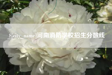 湛江河南消防学校招生分数线