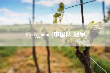 湛江中国队 冠军