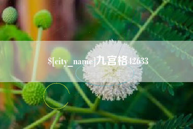 湛江九宫格42633