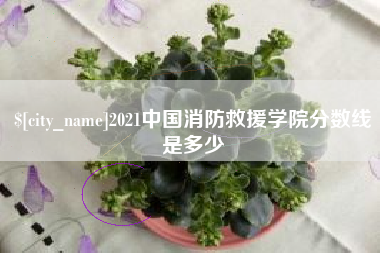 湛江2021中国消防救援学院分数线是多少