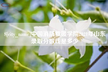 湛江中国消防救援学院2021年山东录取分数线是多少