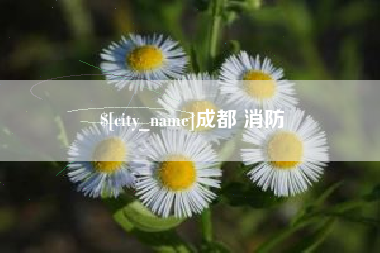 湛江成都 消防