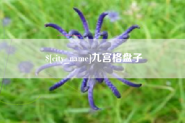 湛江九宫格盘子