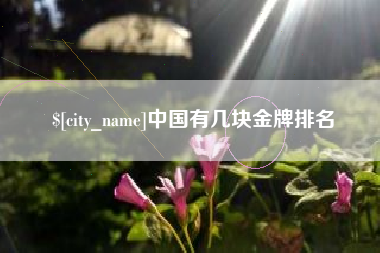 湛江中国有几块金牌排名