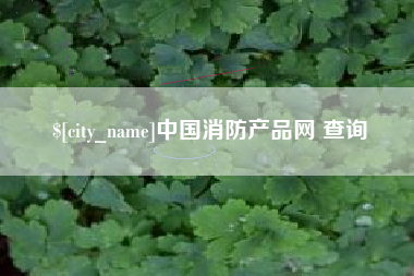 湛江中国消防产品网 查询