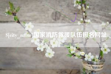 湛江国家消防救援队伍报名网址