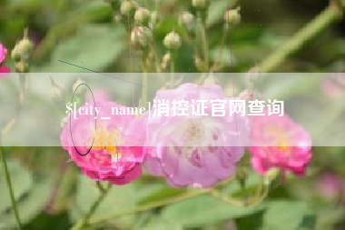 湛江消控证官网查询
