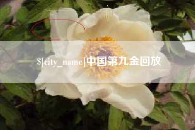 湛江中国第九金回放