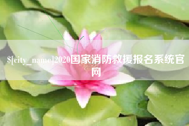 湛江2020国家消防救援报名系统官网