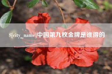 湛江中国第九枚金牌是谁得的