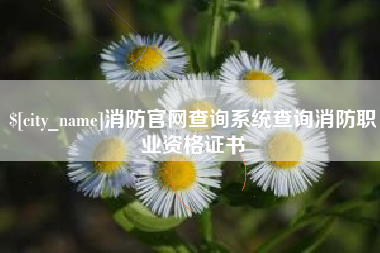 湛江消防官网查询系统查询消防职业资格证书