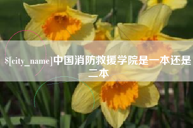 湛江中国消防救援学院是一本还是二本