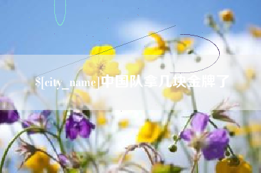 湛江中国队拿几块金牌了