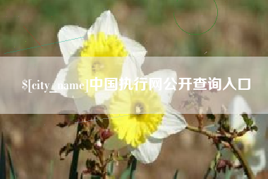 湛江中国执行网公开查询入口