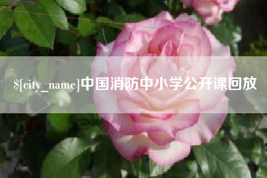 湛江中国消防中小学公开课回放