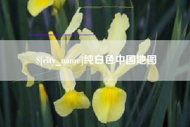 湛江纯白色中国地图