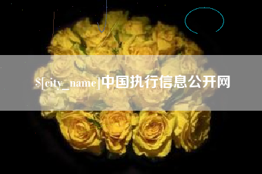湛江中国执行信息公开网