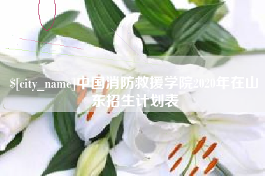 湛江中国消防救援学院2020年在山东招生计划表