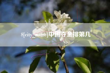 湛江中国夺金排第几