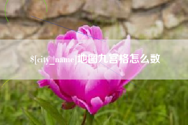 湛江地图九宫格怎么数