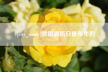 湛江我国消防日是每年的