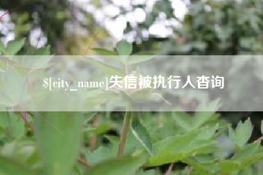 湛江失信被执行人杳询