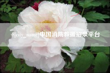 湛江中国消防救援招录平台