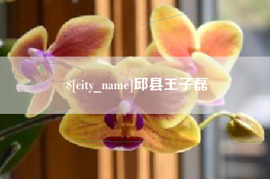 湛江邱县王子磊