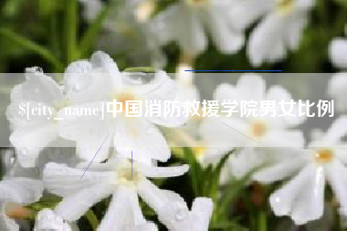 湛江中国消防救援学院男女比例