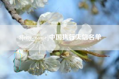 湛江中国执行失信名单