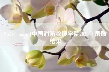 湛江中国消防救援学院2020年录取结果